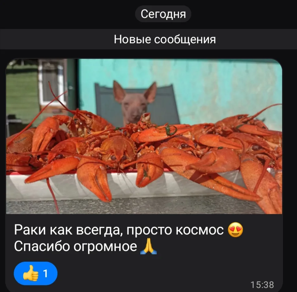 🔥 Раки по самым лучшим ценам ещё в наличии:
