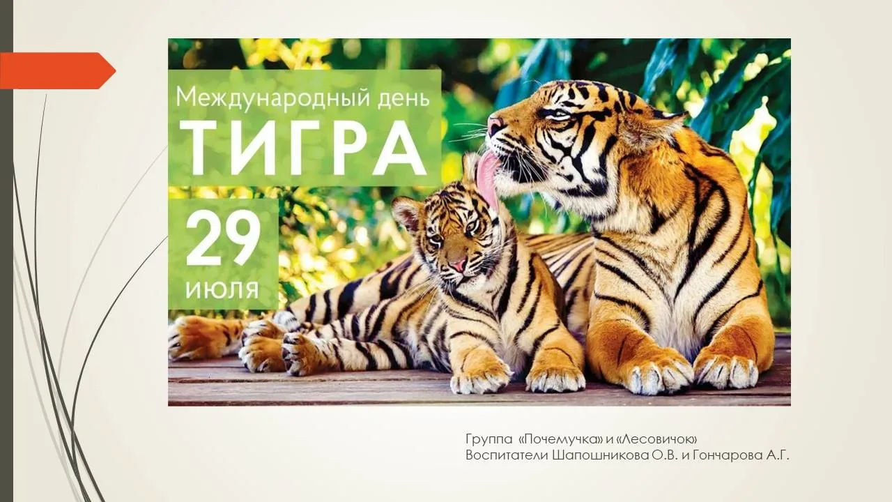 Международный день тигра — экологический праздник, который ежегодно отмечается 29 июля. Он был учреж