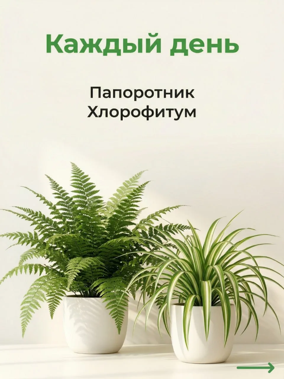 Секреты полива и питания комнатных джунглей: шпаргалка от ОрганикМикс 🌿  По статистике 93% россиян в