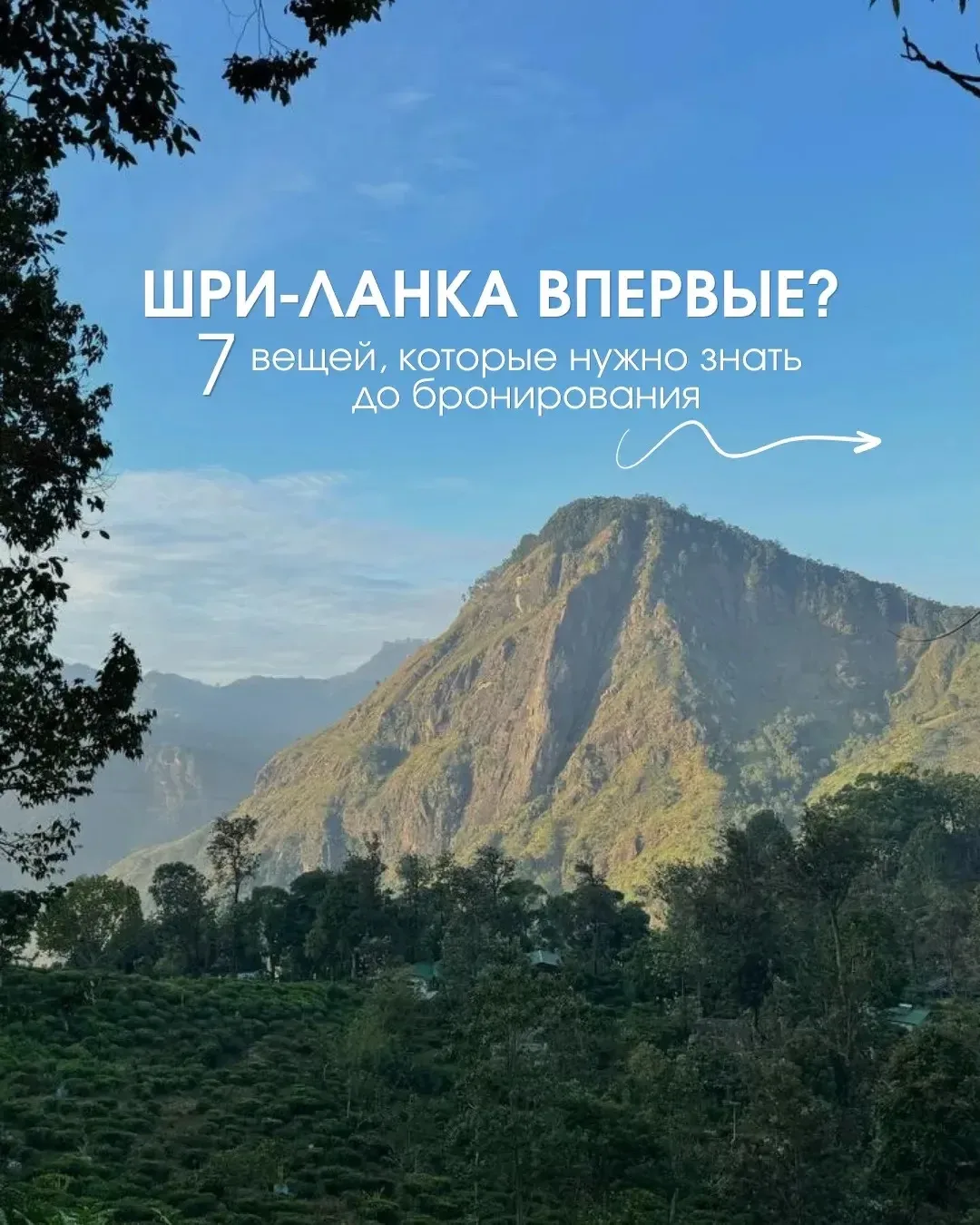 🌴 Шри‑Ланка впервые? Сначала месяц, потом курорт — иначе рискуете получить не тот отды...