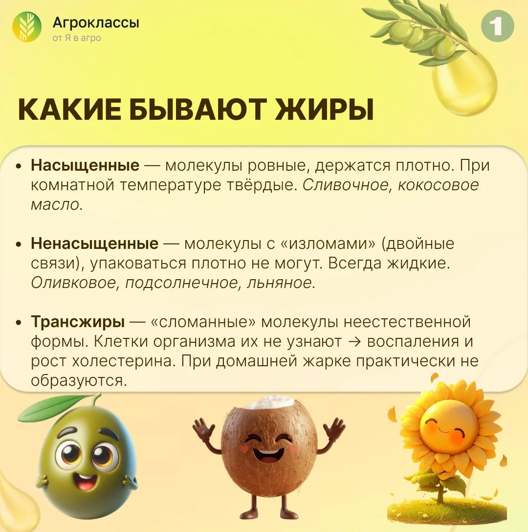 Ваша кухня – химическая лаборатория…  …и масло в ней – главный реактив.  Рассказываем об этом подроб