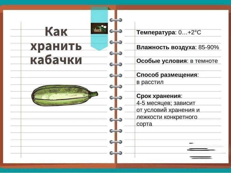 Шпаргалка: Как хранить овощи 🥔🥕🫑🍅🍆