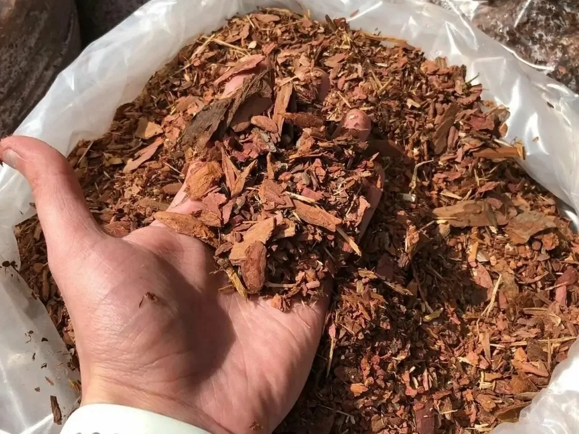 🌳 Почему мульчирование корой лиственницы — ЛУЧШИЙ вариант для вашего сада?