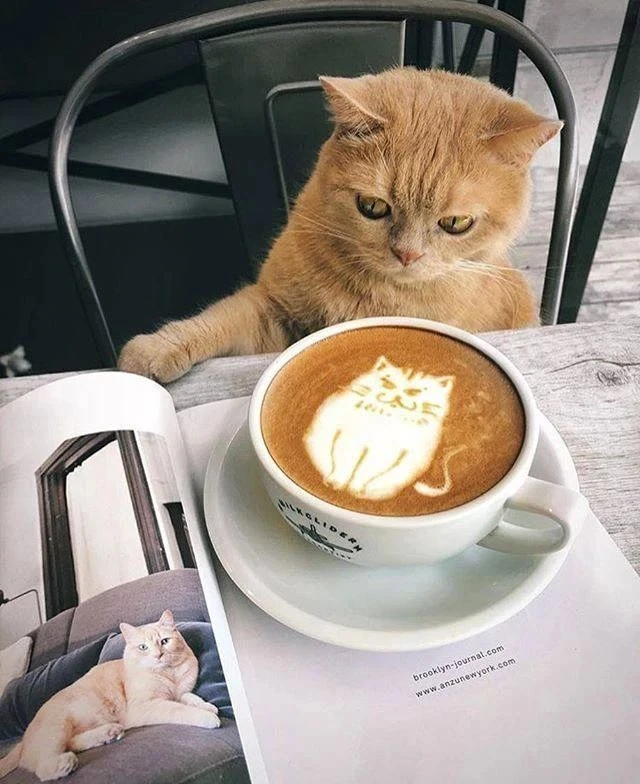 А вы знали, что ☕️ кофе с корицей☕ помогает похудеть, — ученые.