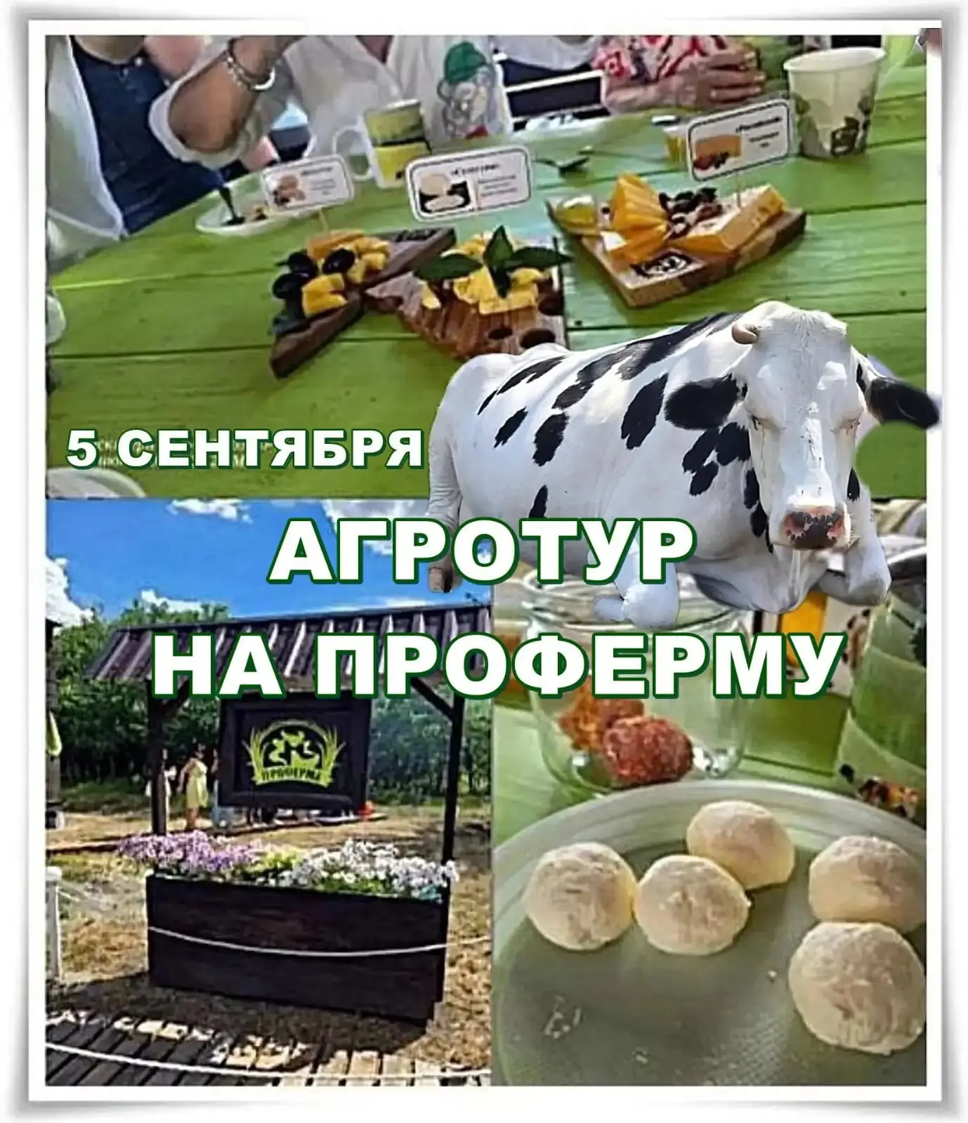 ☀️ Для взрослых и детей 1-дневный загородный отдых