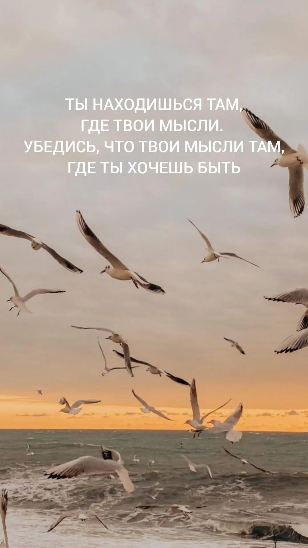 Вам послание🖤