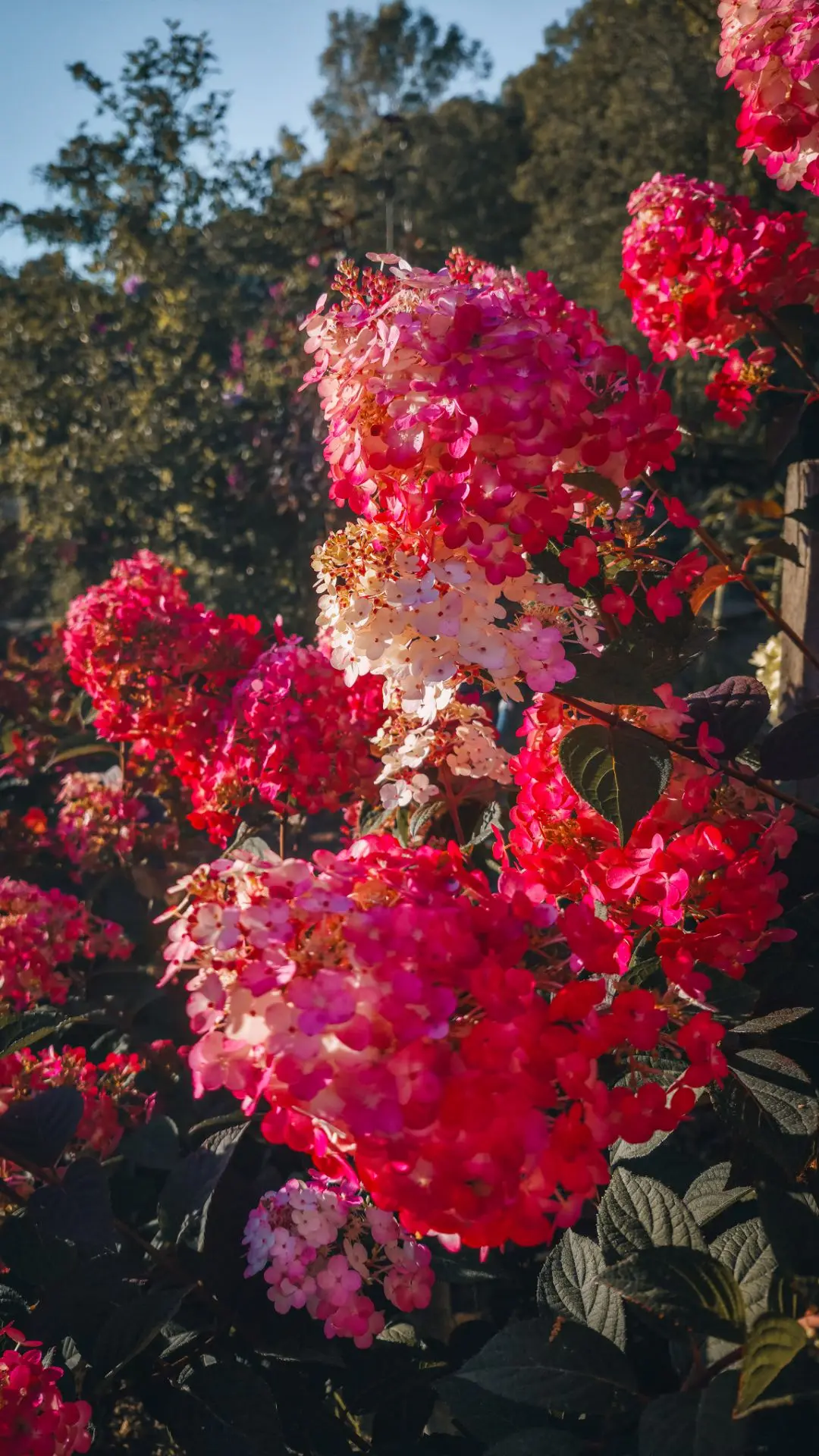 Осеннее 🥀