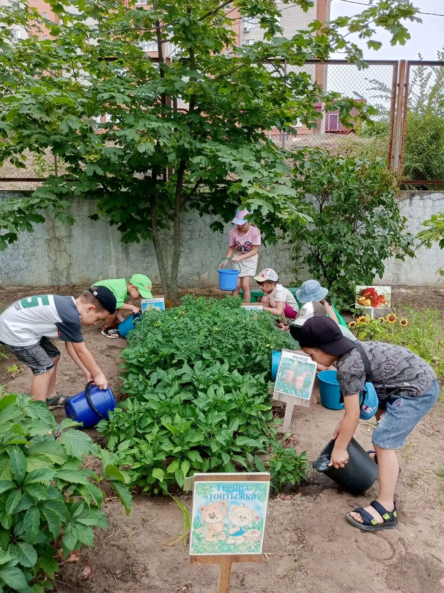 Мы сажаем огород. 🥦🥕
Посмотрите, что растет!

Совсем недавно воспитанники нашего детского сада под