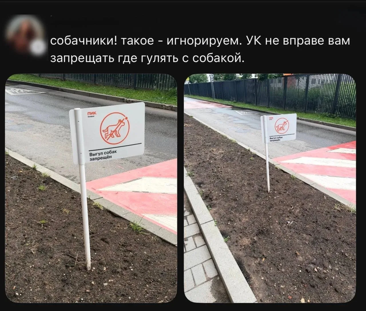 В ЖК «Полярная 25» собачники устроили бунт против запрета выгула собак