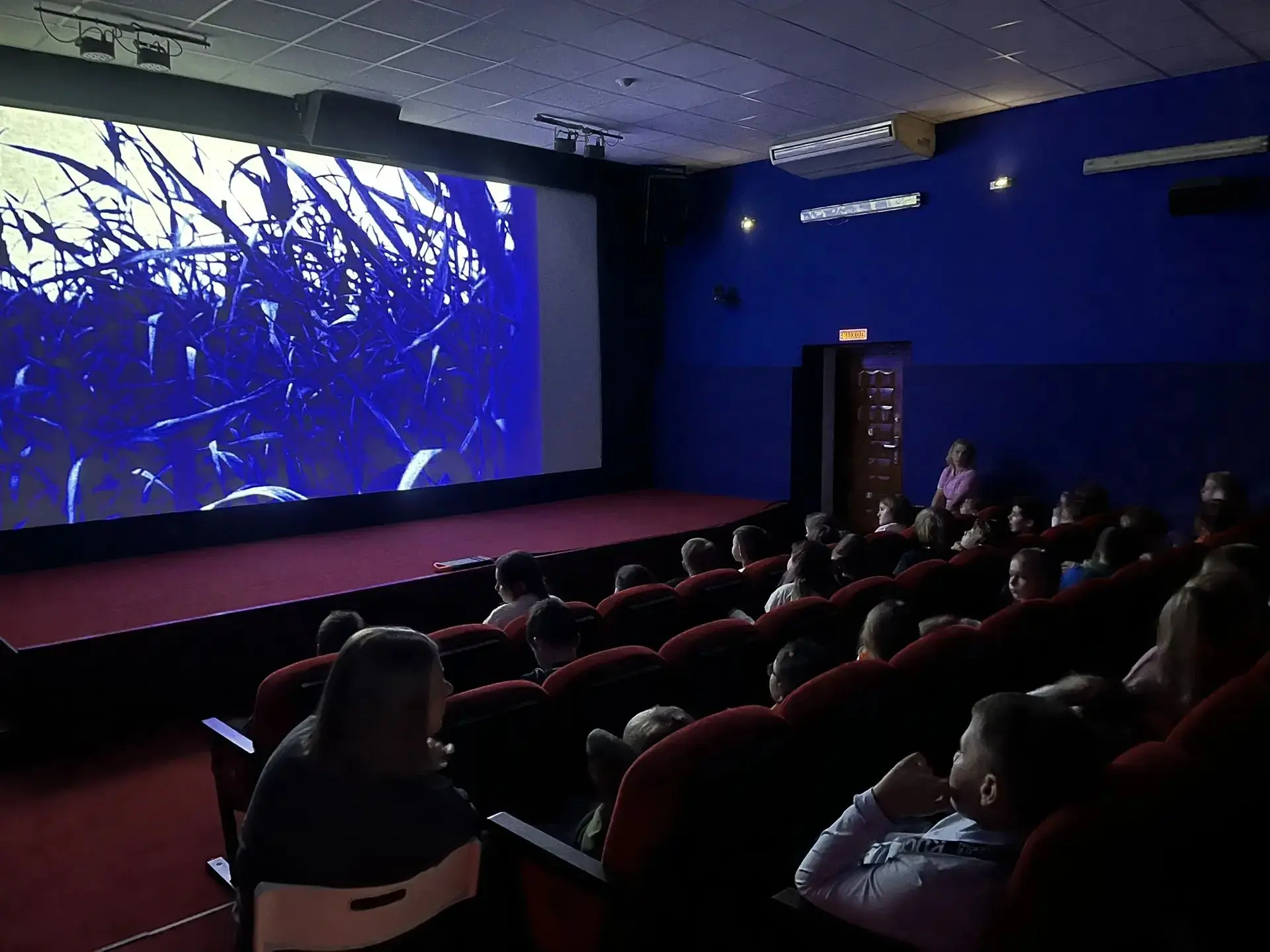 Фильм про милых тюленей открыл кинопоказы фестиваля «Кремний»