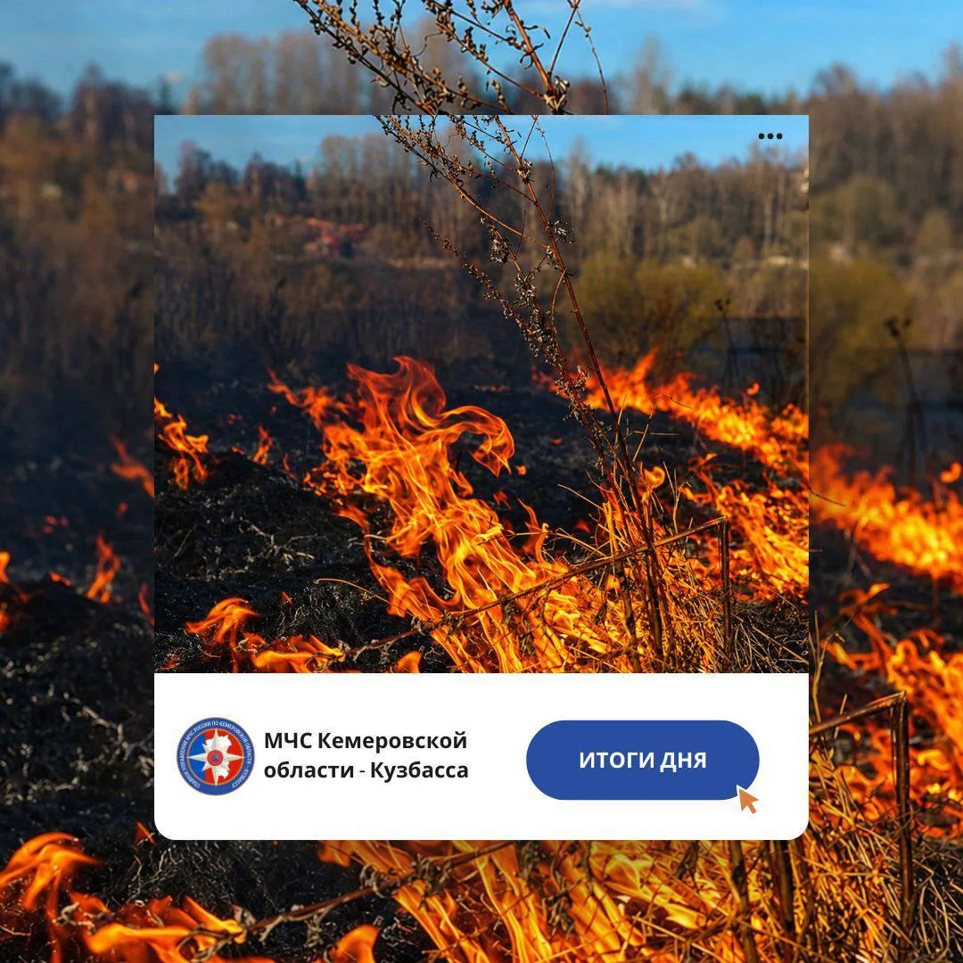 За дежурные сутки с 30 сентября по 1 октября пожарно-спасательные подразделения Кузбасс...