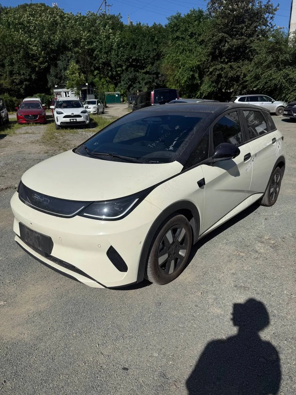 🚗 BYD Dolphin для клиента из Калининграда!