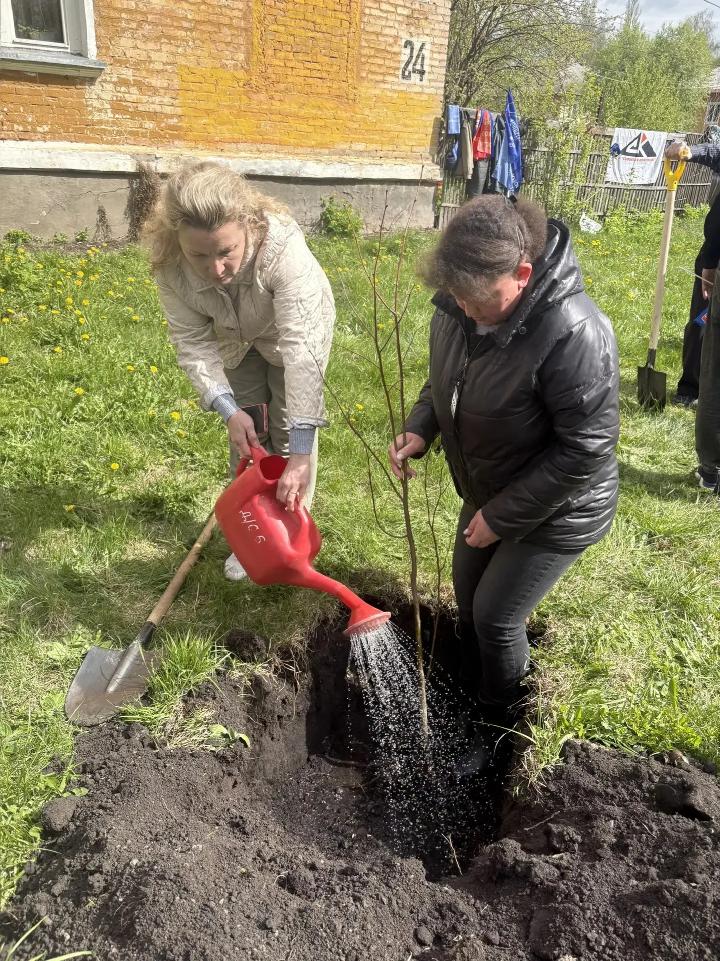 - Сегодня в рамках профсоюзной акции, посвященной 1 мая , была высажена "Аллея Лип", по улице Воинов