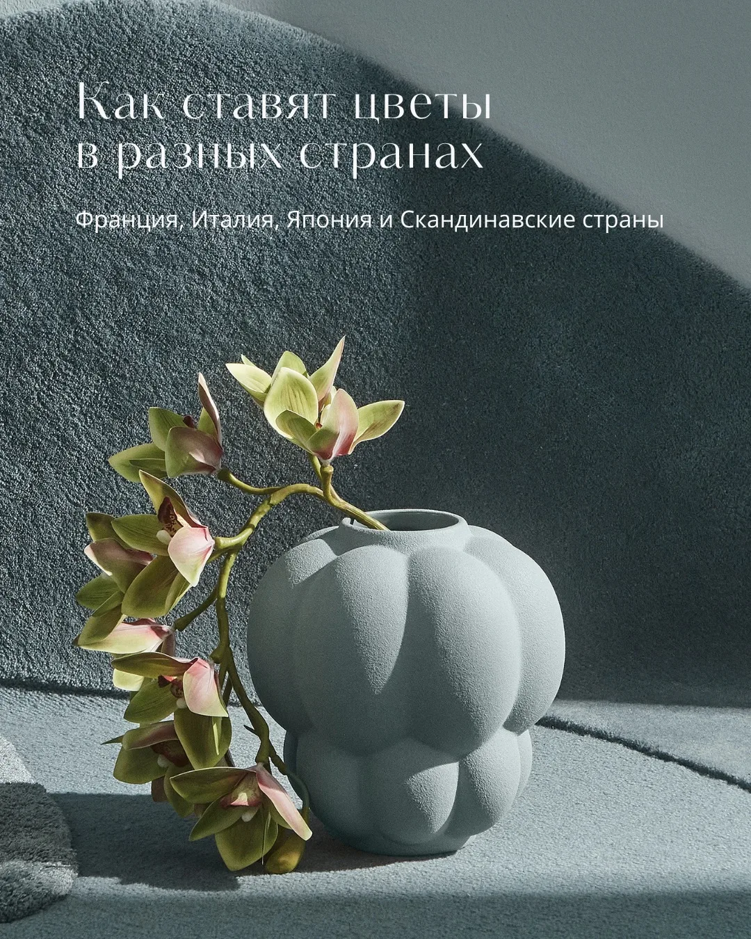 Как ставят цветы дома во Франции, Италии, Японии и Скандинавии? 🪻