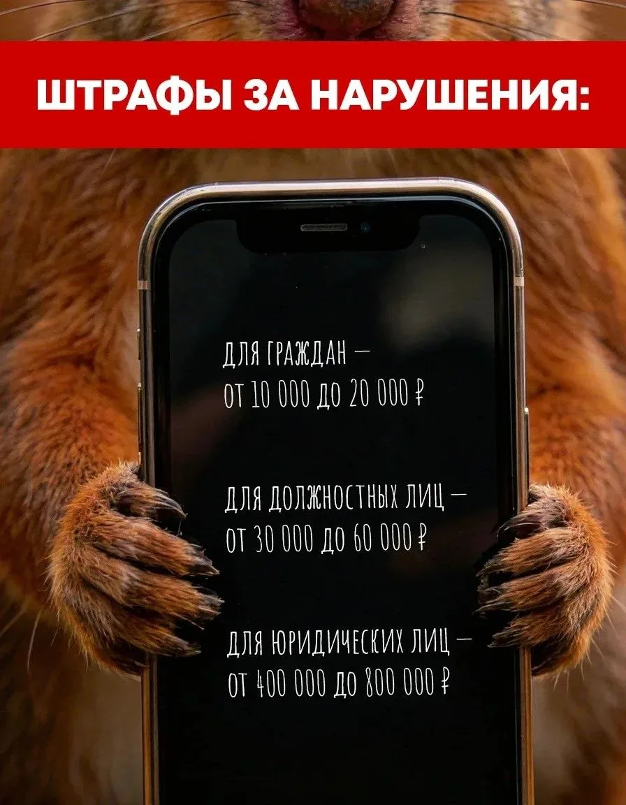 Сезон повышенной пожарной опасности в Кузбассе.  После таяния снега сухая трава и листва быстро высы