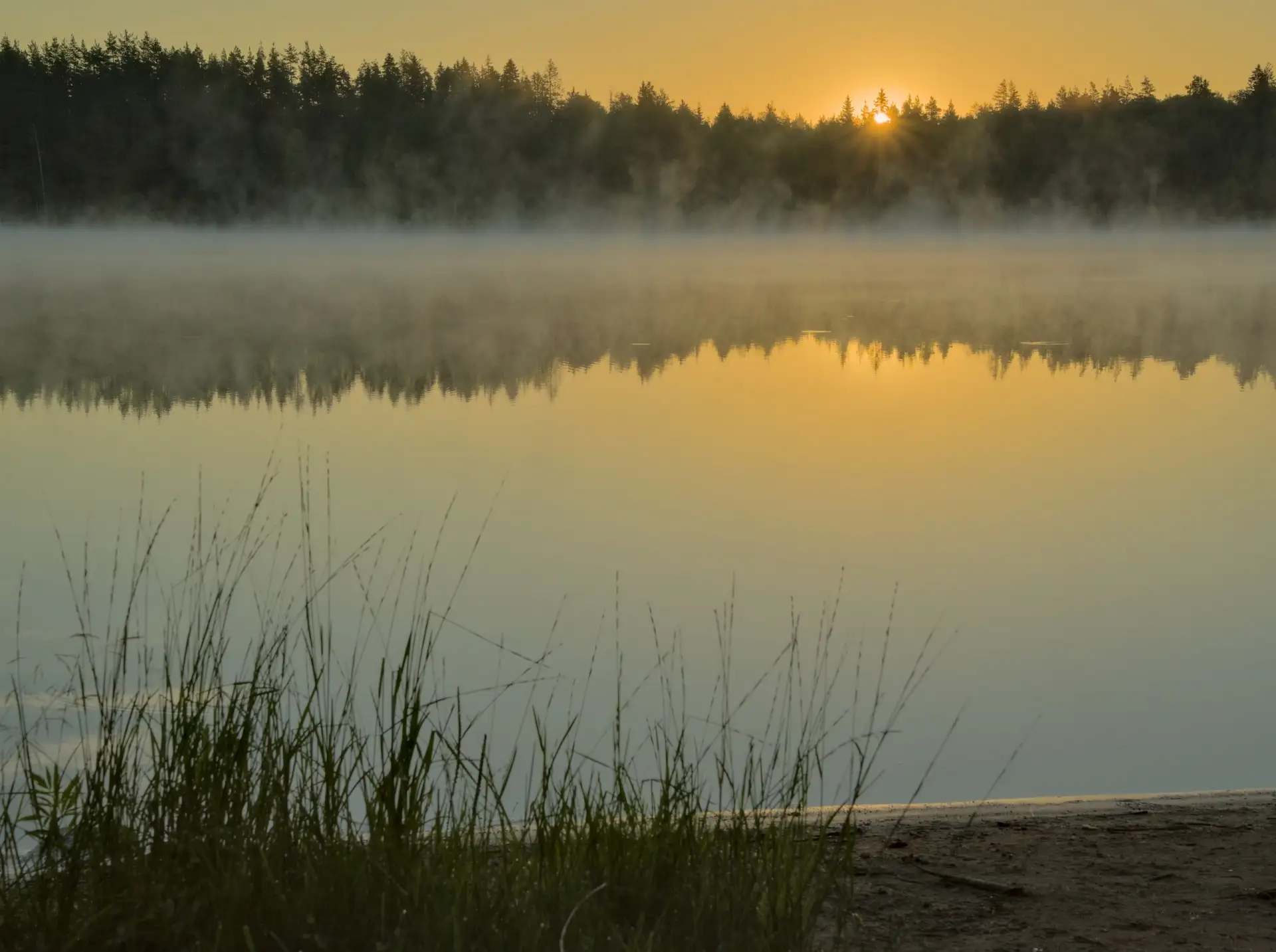 Озеро Заливное, р. Широкая. Походные фото. Пос. Рощино, Выборгский район Ленобласти.