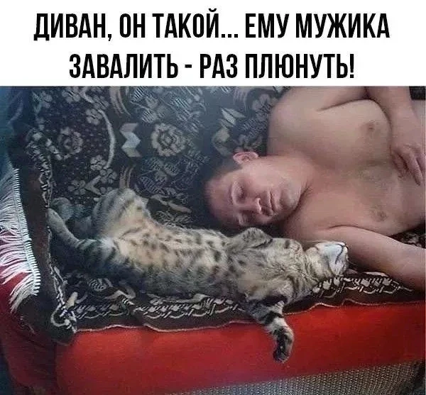 Подпишись на юмор 😂