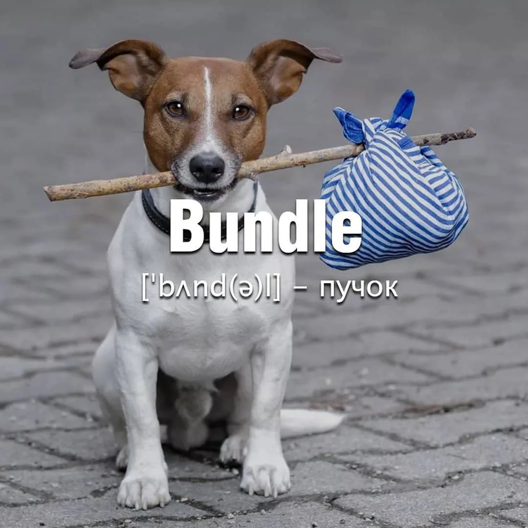 Bundle