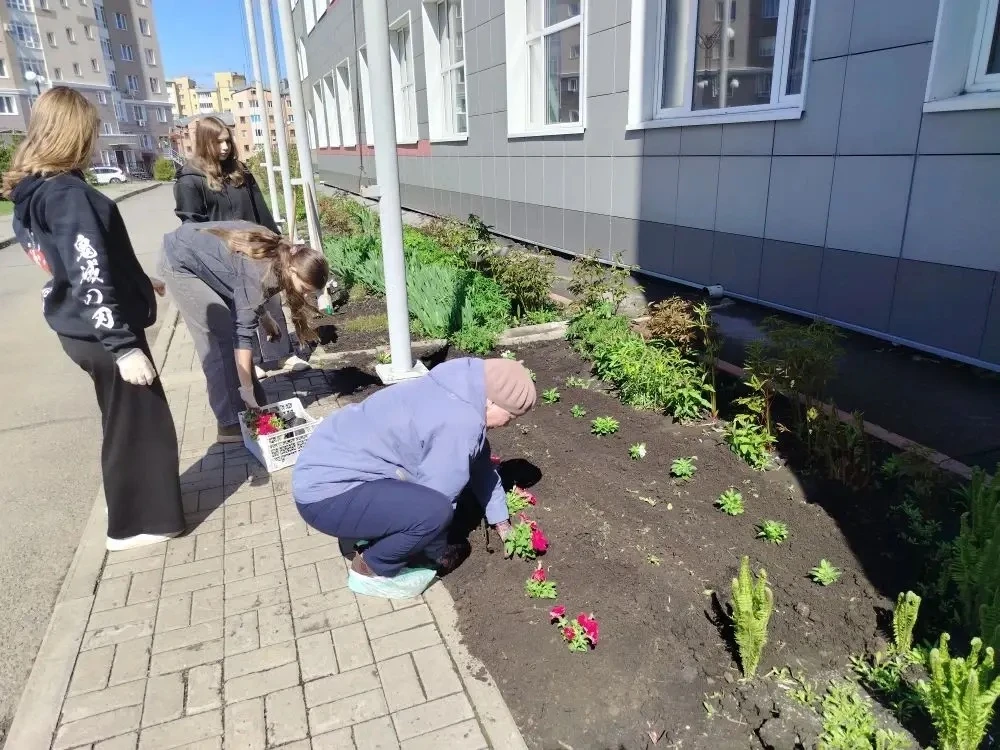 🌷 Сегодня наши учащиеся и педагоги дружно взялись за дело — высадили первые цветы на школьном дворе!
