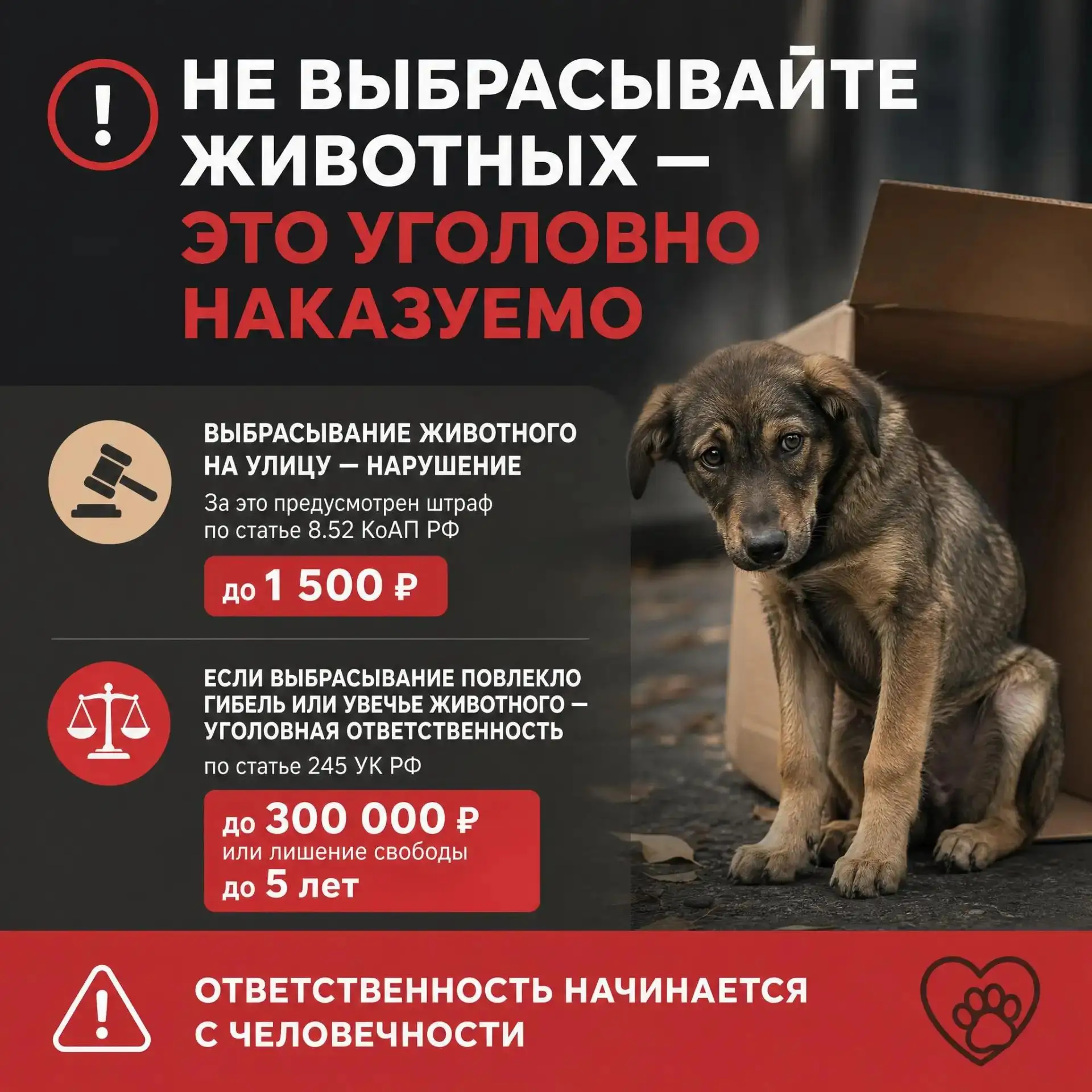 🚫 Не выбрасывайте животных - это уголовно наказуемо