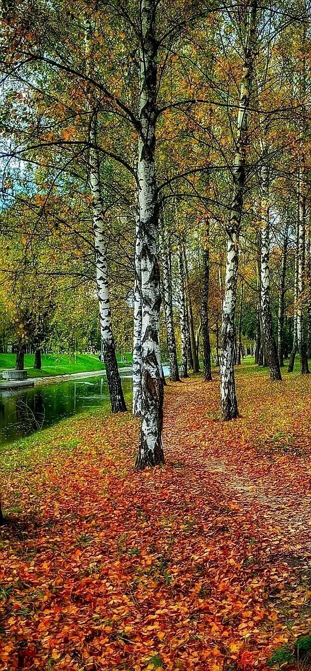 Жизнь состоит из мелочей..