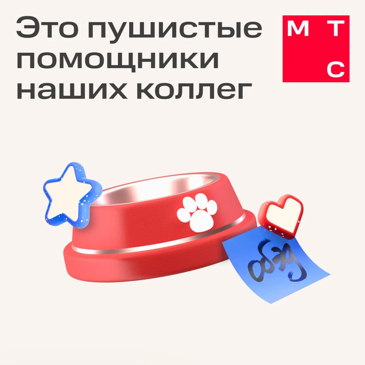 Запомни правило ⬇️