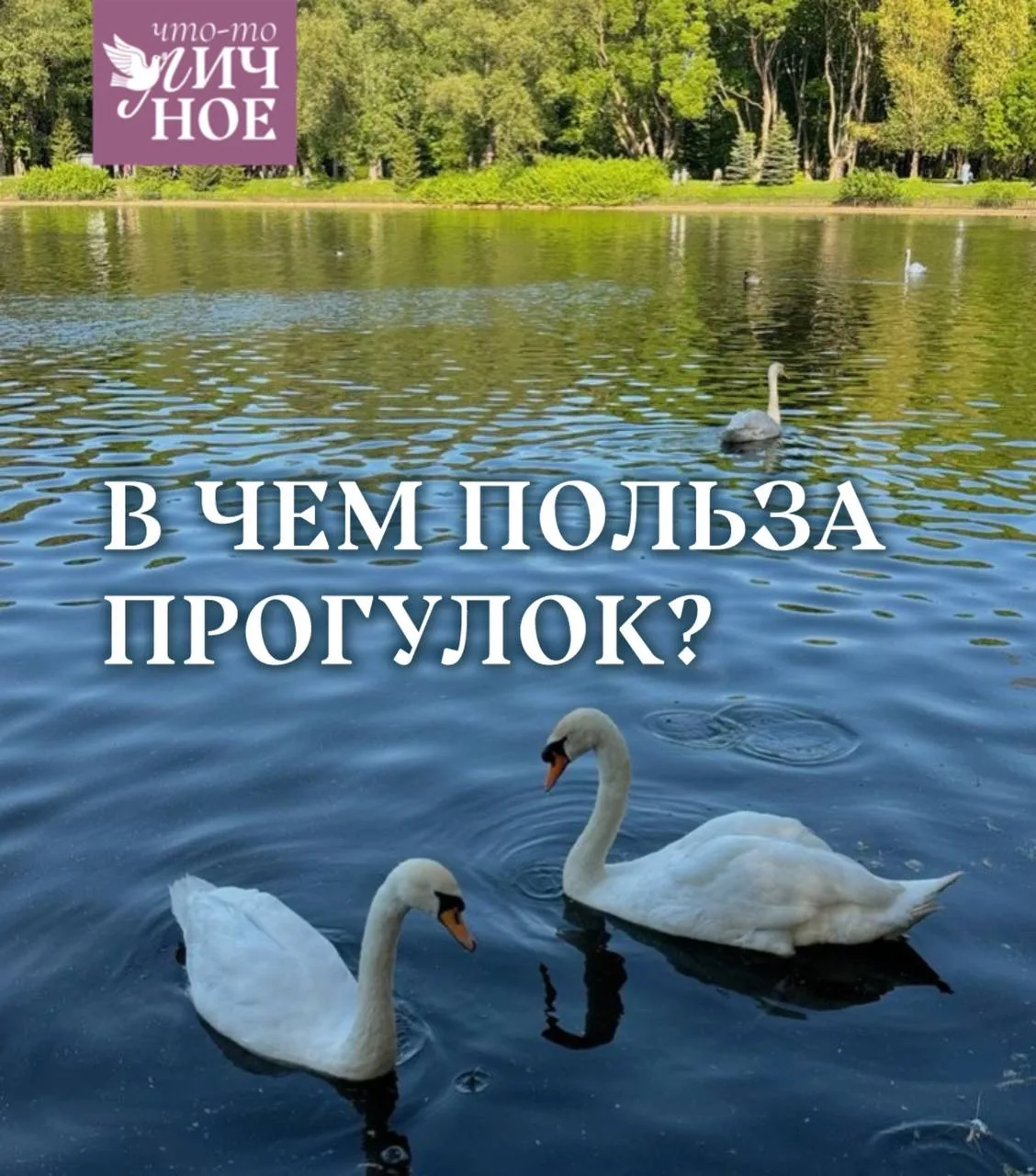 30 марта отмечается День прогулок по парку🌿  Часто ли вы гуляете так, чтобы замечать происходящее во