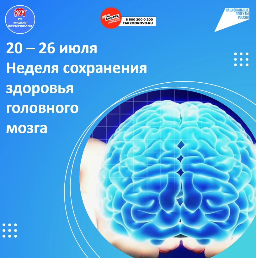 Мозг в тонусе: ваш гид по активному долголетию

Мы привыкли заботиться о теле, но главный орган, упр