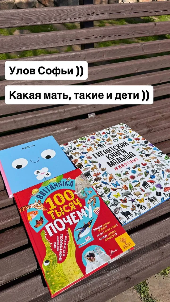 Изображение 1 к публикации «Vesperfin»