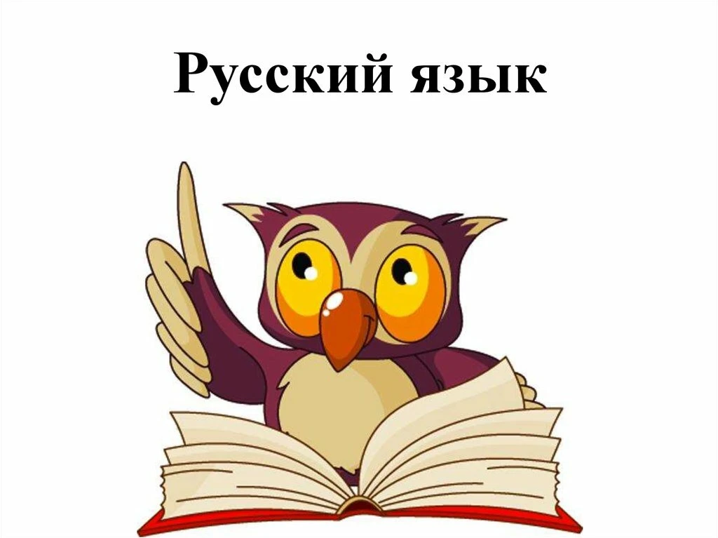 Рабочие листы по русскому языку для подготовки к ОГЭ и ЕГЭ 2026: