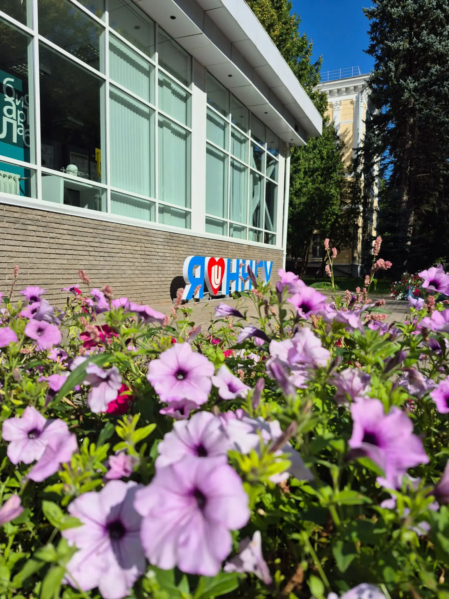 С добрым утром!🌸