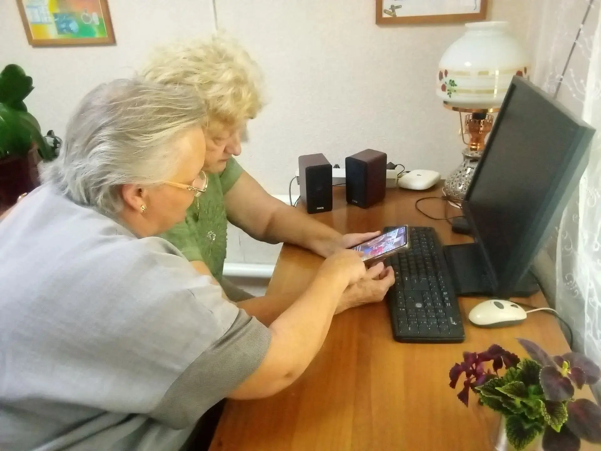 ГАУ СО КЦСОН Федоровского района состоялось очередное занятие по обучению навыкам  комп...
