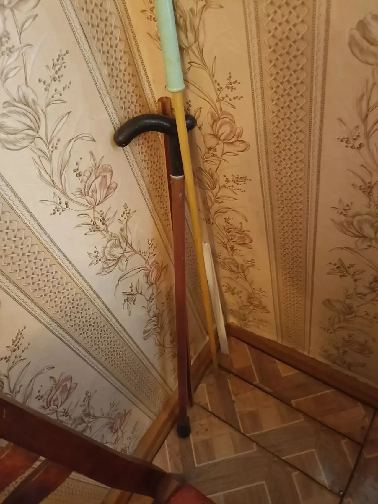 Здравствуйте отдам !