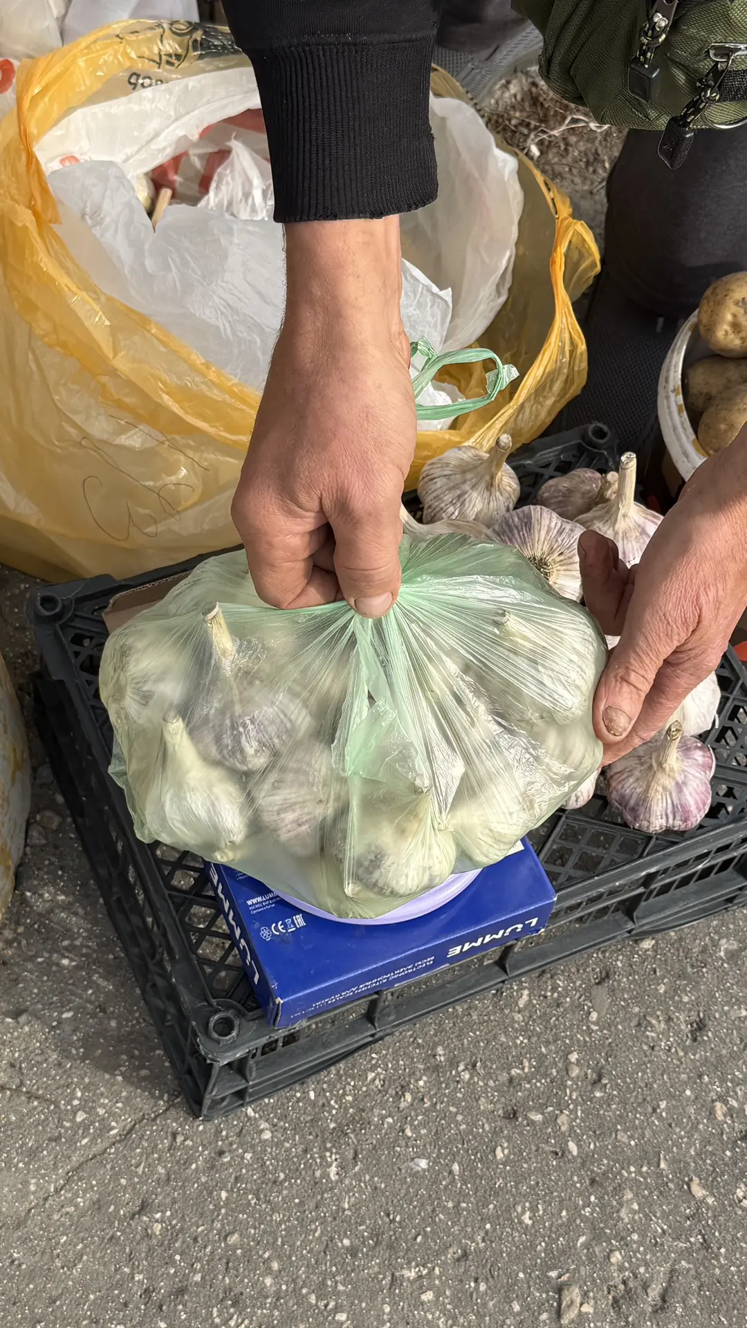 Урвала чеснок 🧄 300 р килограмм , взяла 2 кг💃