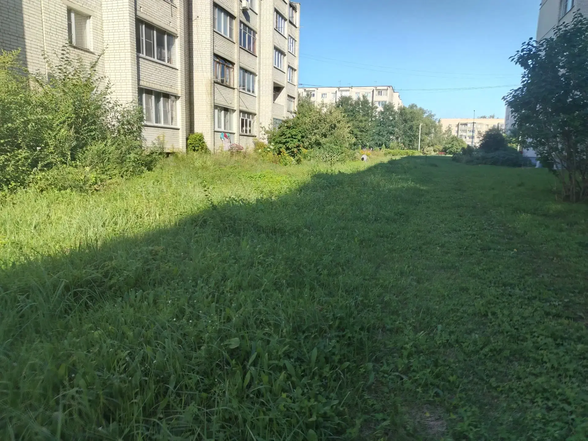 В соответствии с графиком покоса сорной растительности, продолжаются работы по окосу те...