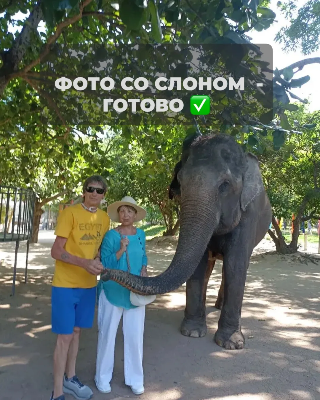 Фото со слоном - готово✅

Наша туристка Ирина много лет мечтала о фото со слоном — и вот мечта сбыла