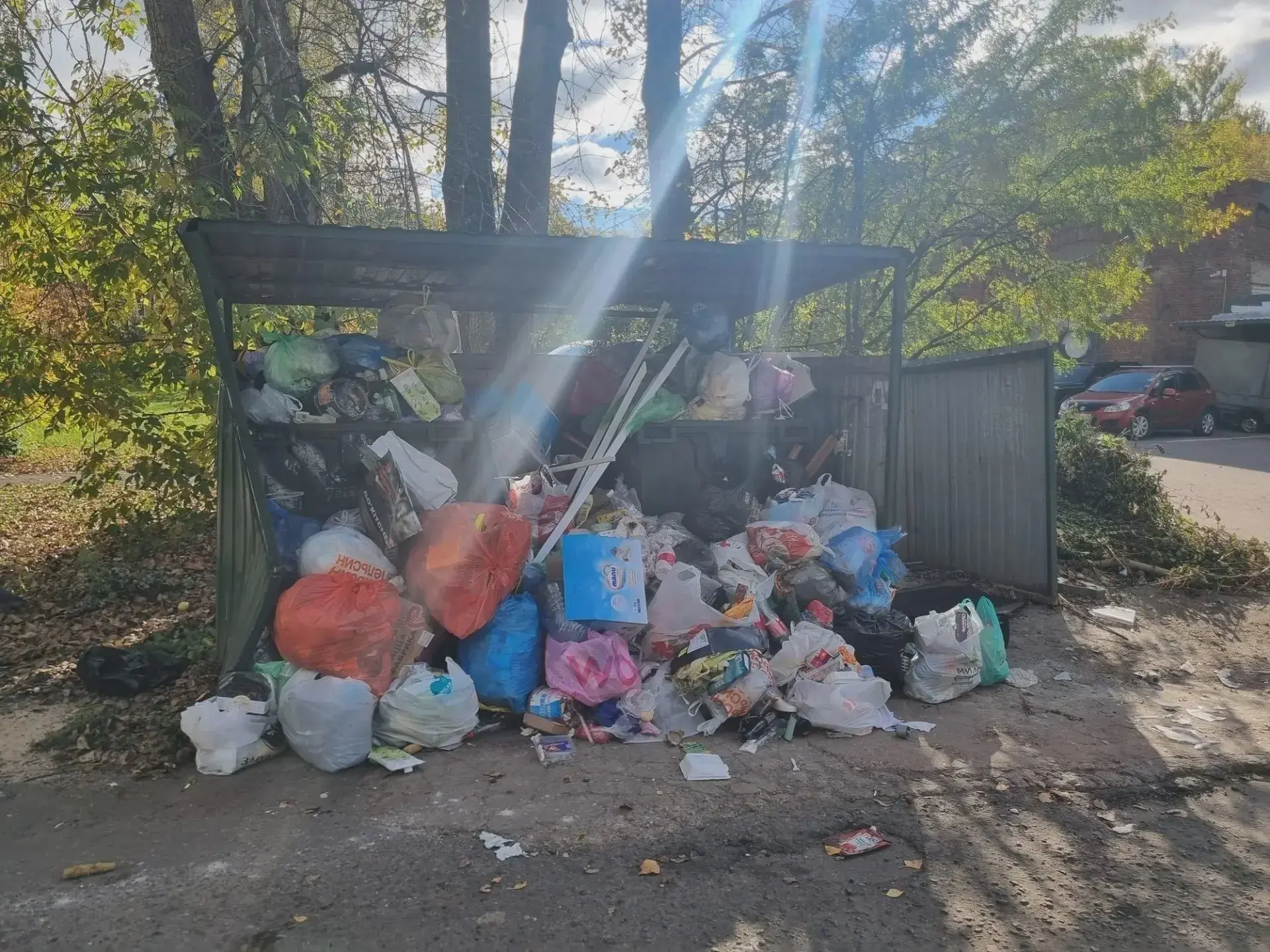 🐀 У дома на Красноперекопской — крысы размером с кошку