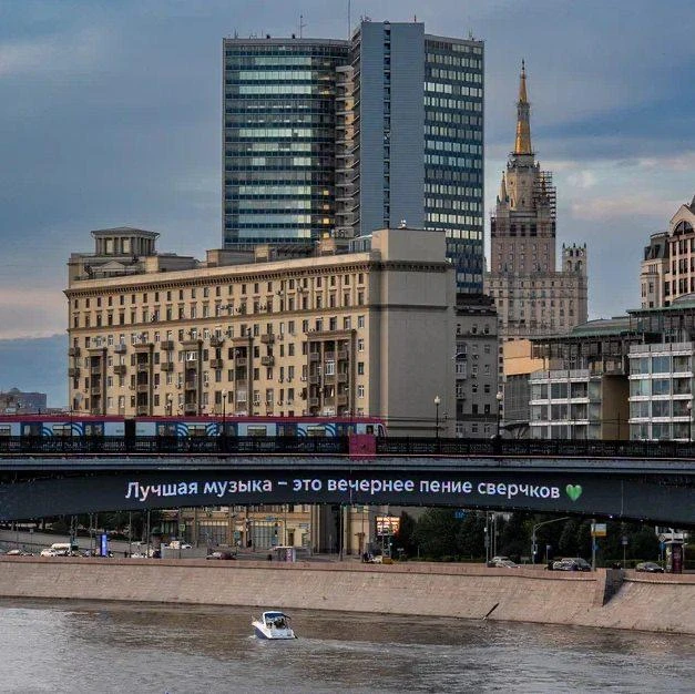 Лучшая музыка – это вечернее пение сверчков 💚