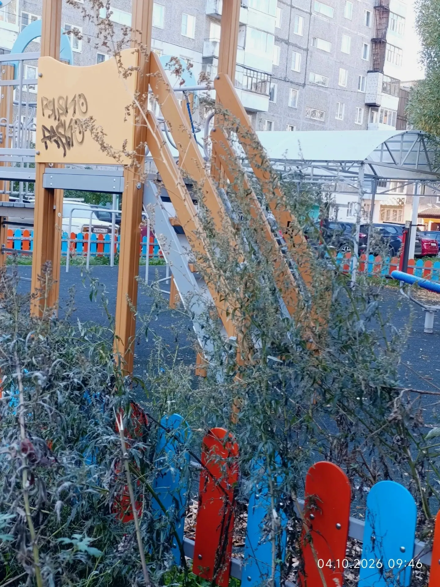 Почему у нас подростки такие? 🤔