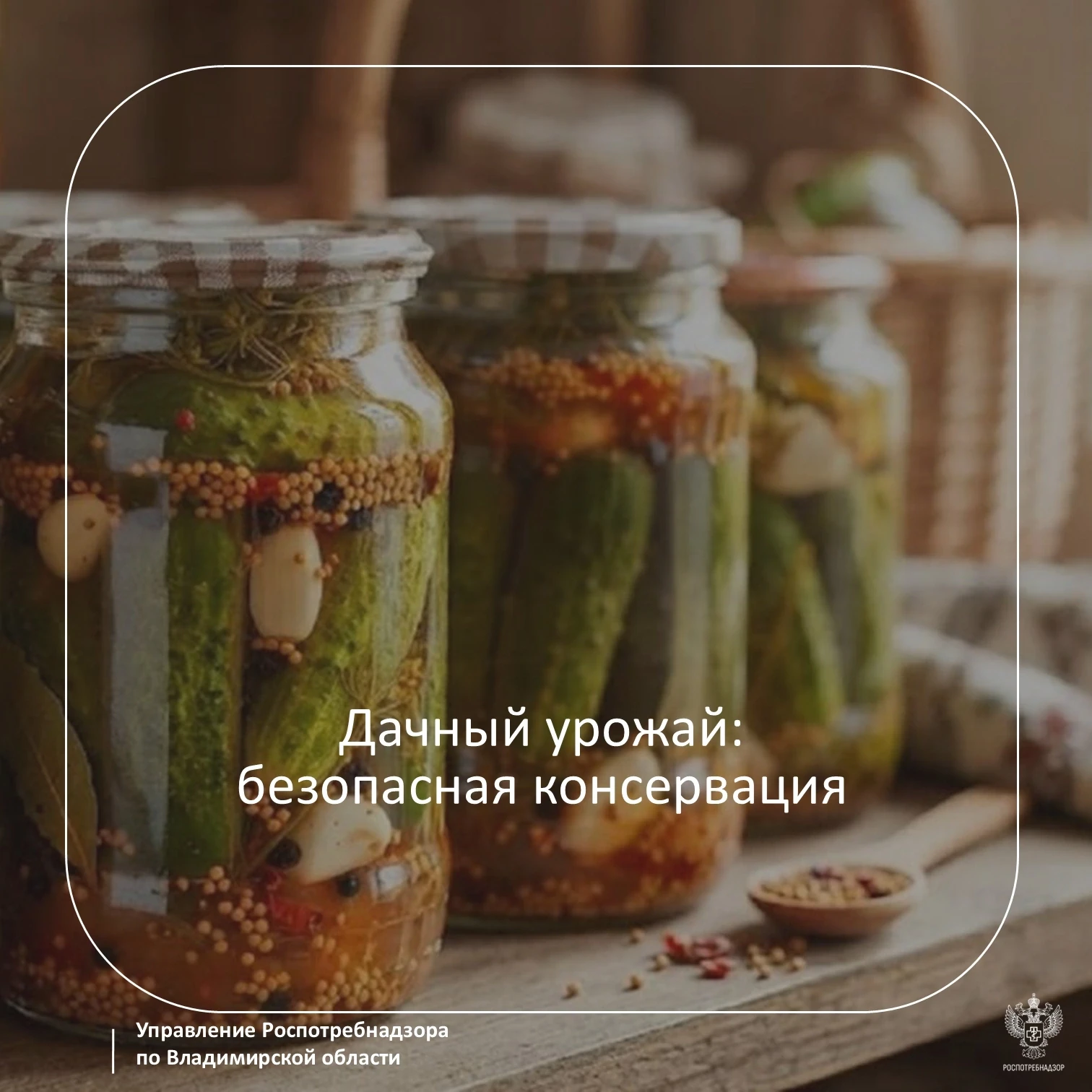 Домашние заготовки – отличная возможность сохранить урожай на зиму. Чтобы консервы были...