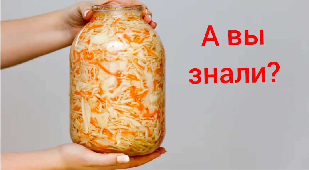 🥬 Квашеная капуста:  помощник в похудении.
