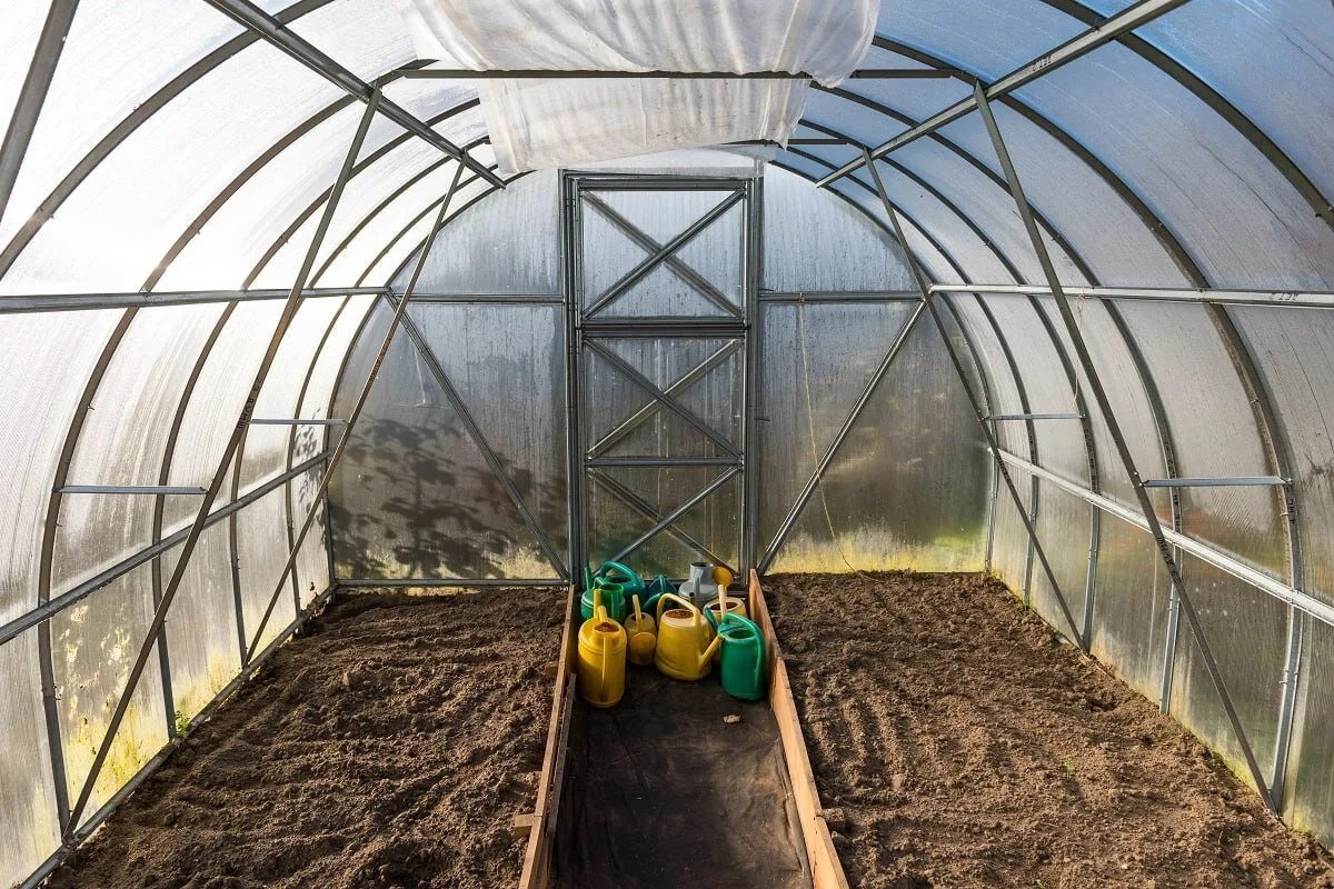 Готовим теплицу к майским посадкам: финальный чек-лист 🌱🏡