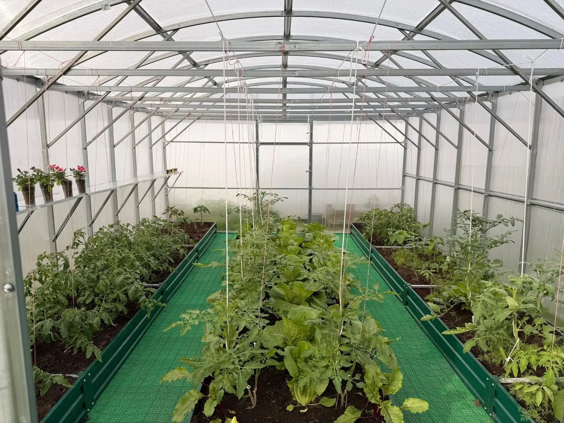 Выходные пролетают незаметно, особенно когда рядом сад, огород и теплица 🌱
 
Кто-то отдыхал, кто-то