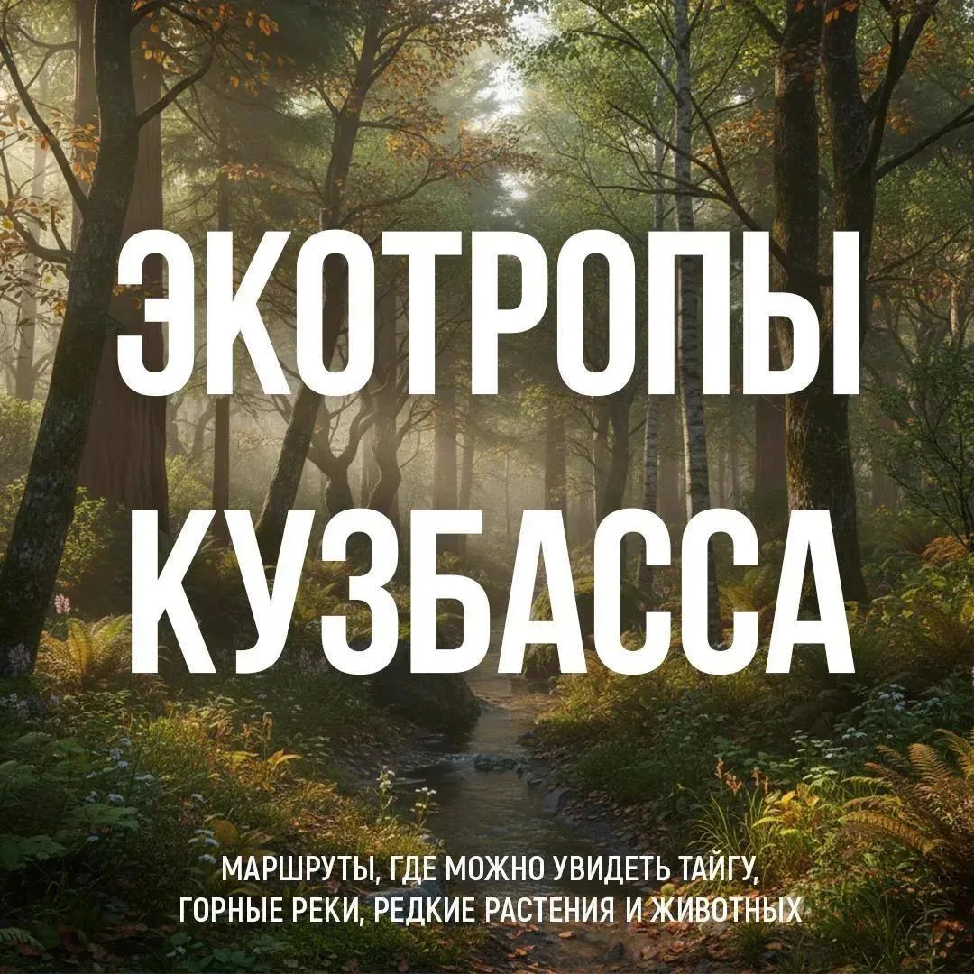 🌳 Лучший способ познакомиться с природой Кузбасса — отправиться по экотропе.

Здесь каждый маршрут 