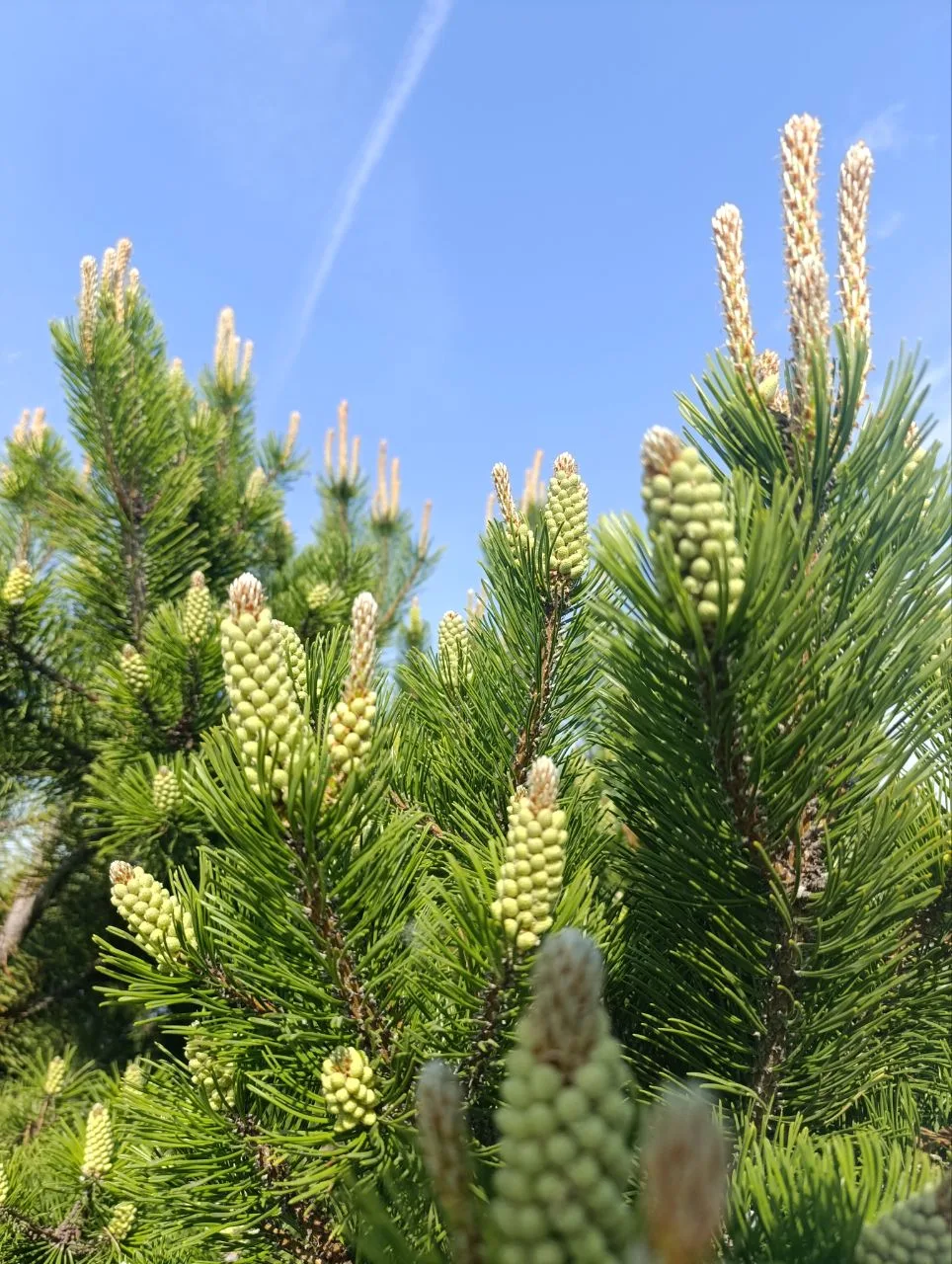 Лето, ах лето! ☀️