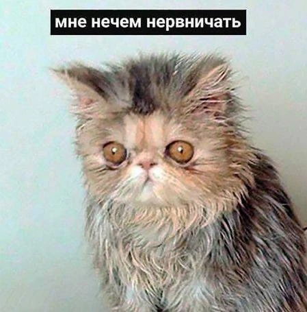 ВЕСЫ, 5 августа. Не принимайте все близко к сердцу, у вас найдутся посерьезнее поводы понервничать

