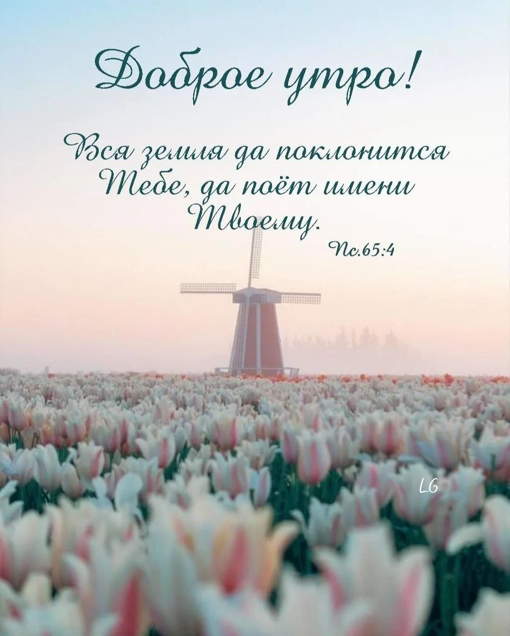 ❤️❤️❤️❤️Открытки❤️❤️❤️❤️
Теперь и в MAX