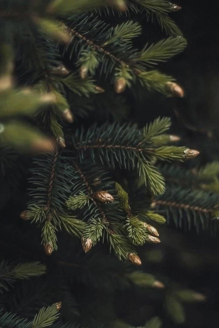 СИЛЬНЫЙ ЗАГОВОР НА СЧАСТЬЕ ВО ВСЁМ🍀🍀🍀
***********************************************************