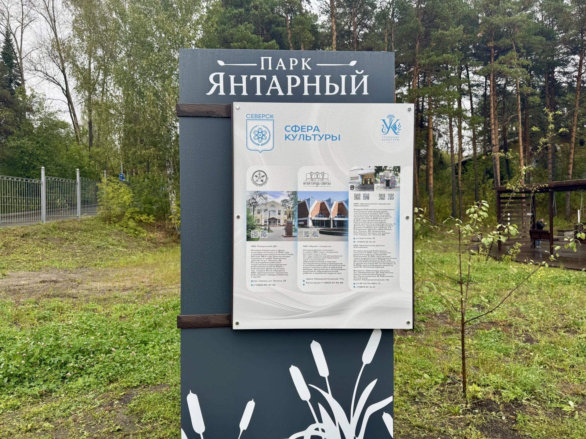 Сильным спортивным традициям — достойные условия