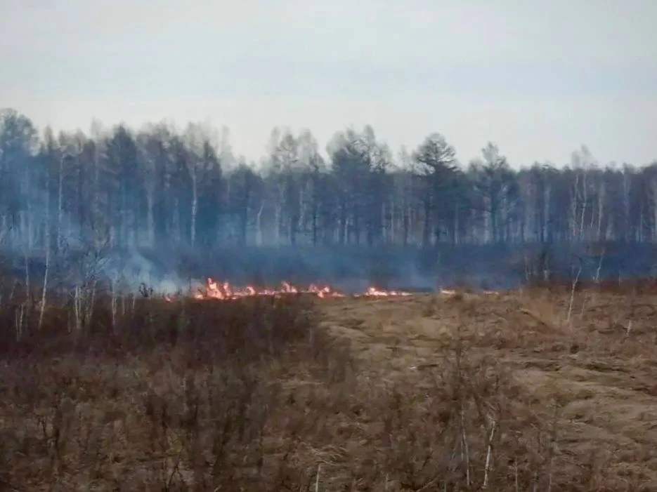 Непростая обстановка с лесными пожарами: в Магдагачинском округе ввели режим ЧС  В четверг, 14 мая, 